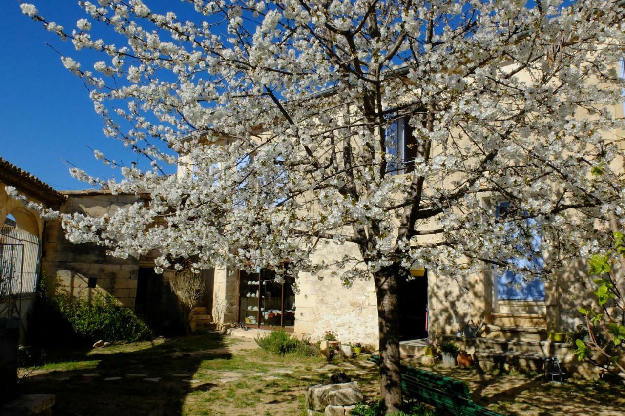 Chambres D'Hotes Dans Maison D'Artiste Galargues Kültér fotó