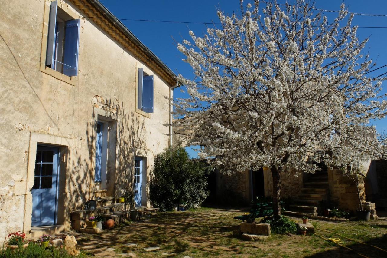 Chambres D'Hotes Dans Maison D'Artiste Galargues Kültér fotó